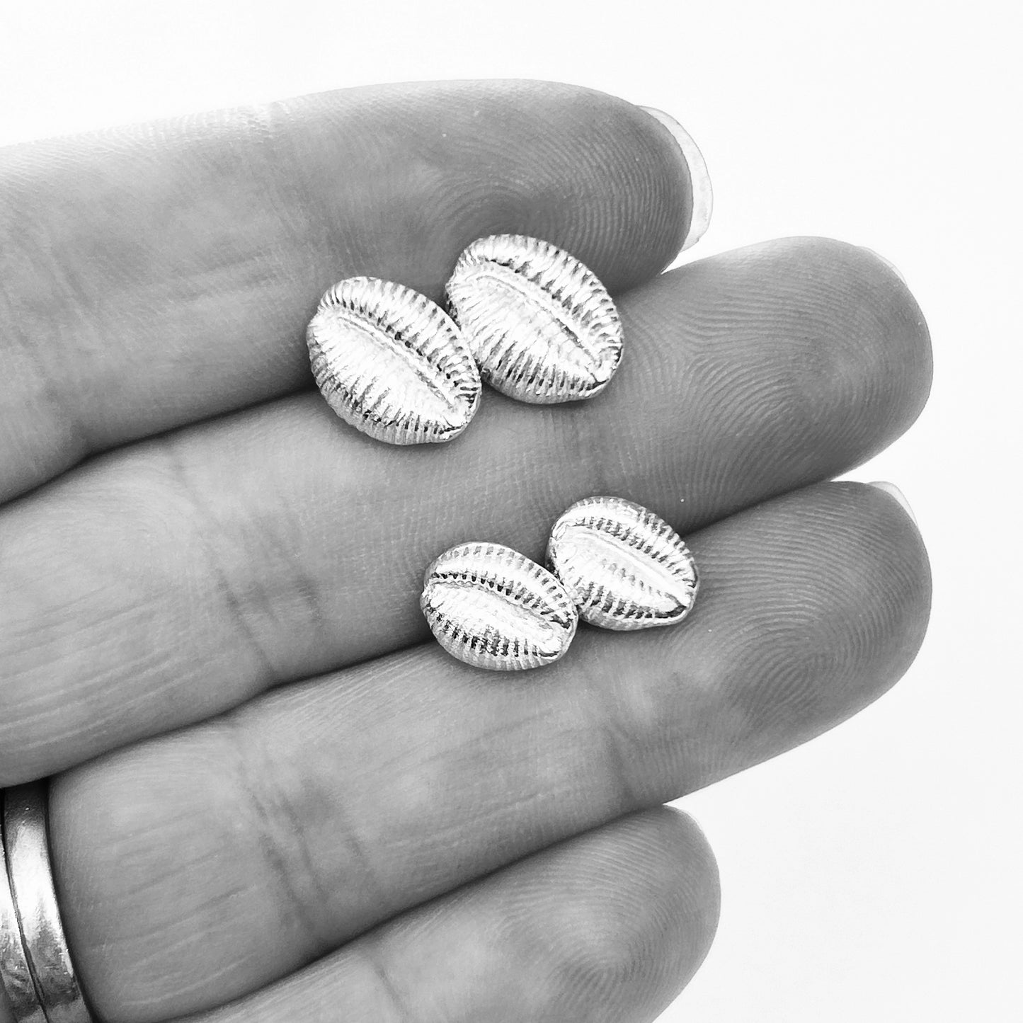 Silver Cowrie Shell Earrings