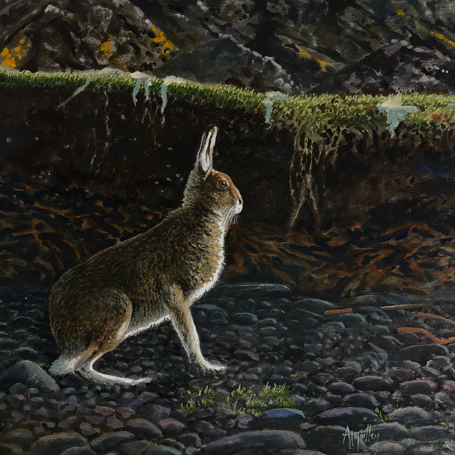 Croig Hare