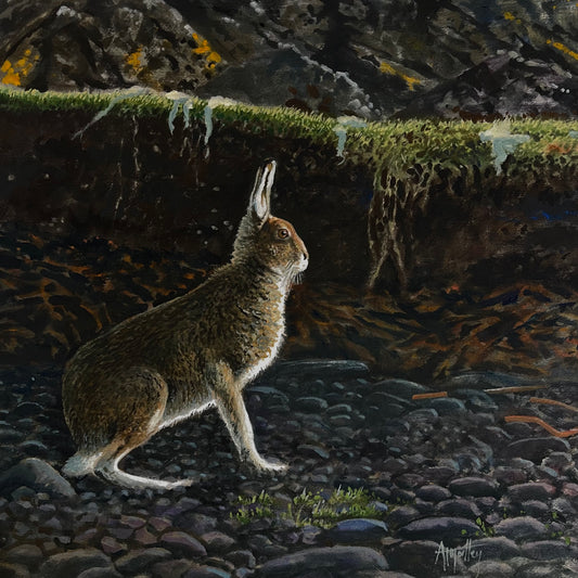 Croig Hare