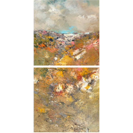 Colours of Every Flower - Iona