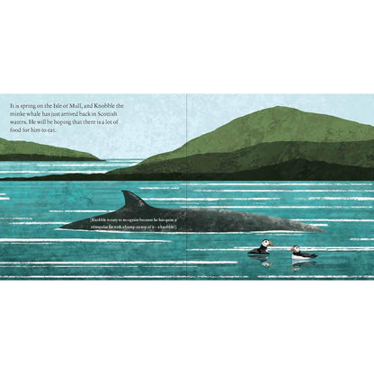 Knobble the Minke Whale Book