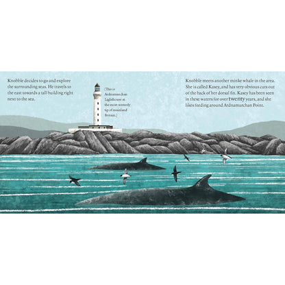 Knobble the Minke Whale Book
