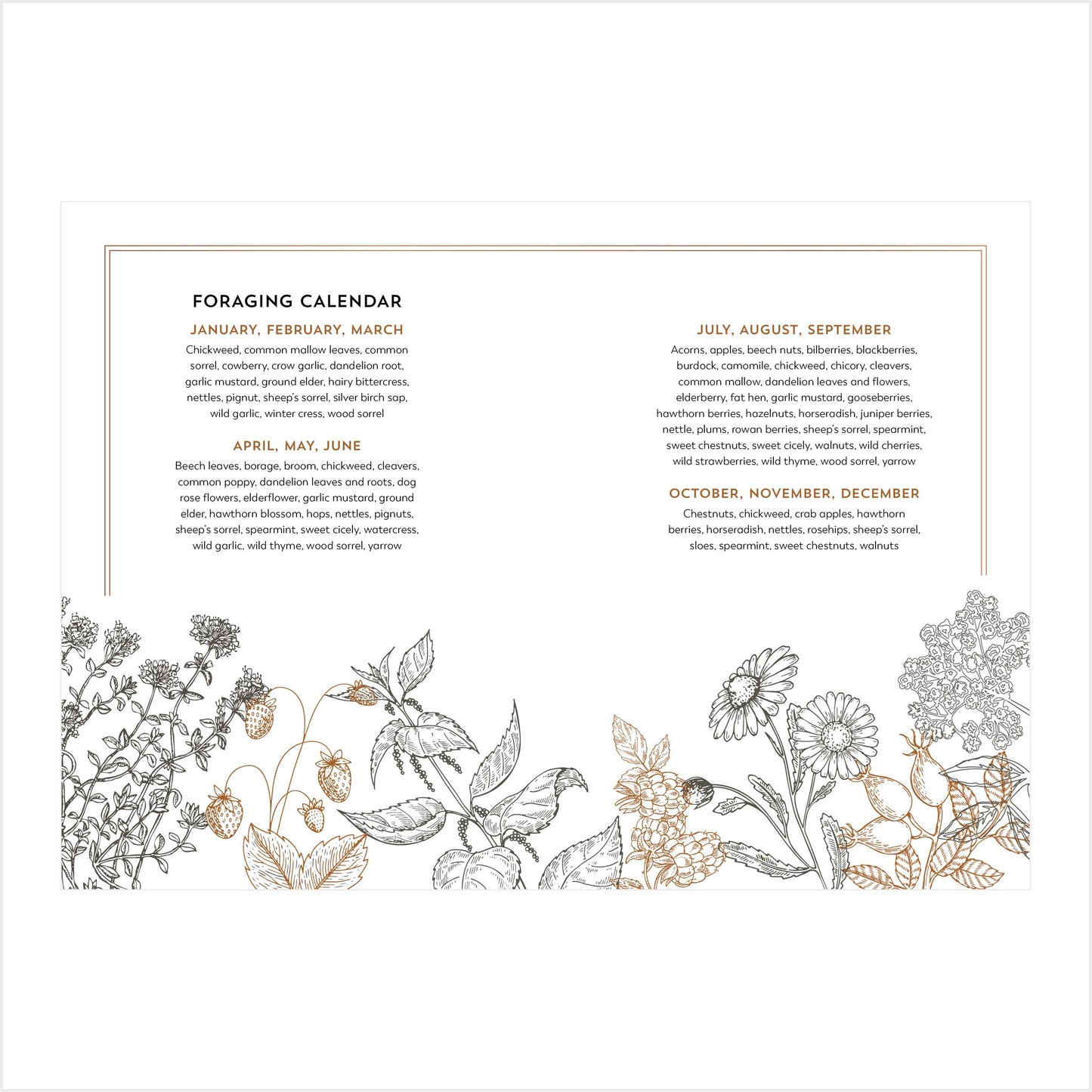 The Hedgerow Apothecary Forager's Handbook - Book