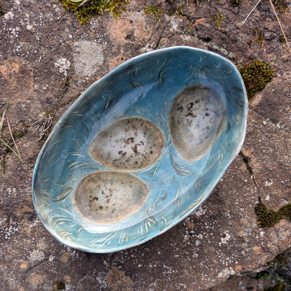 Common Gull Egg Bowl