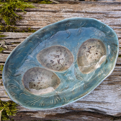 Common Gull Egg Bowl