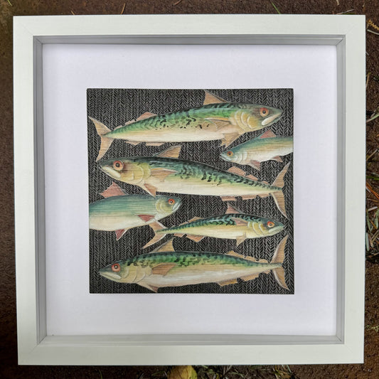 Mackerel - Gouache and Pencil