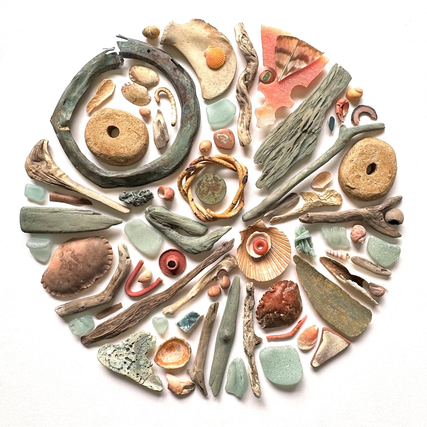 Shadow Box (Large) - Copper Verdigris and Crab Shells