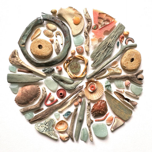 Shadow Box (Large) - Copper Verdigris and Crab Shells