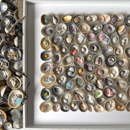 Shadow Box (Medium) - Layered Limpets (Square)