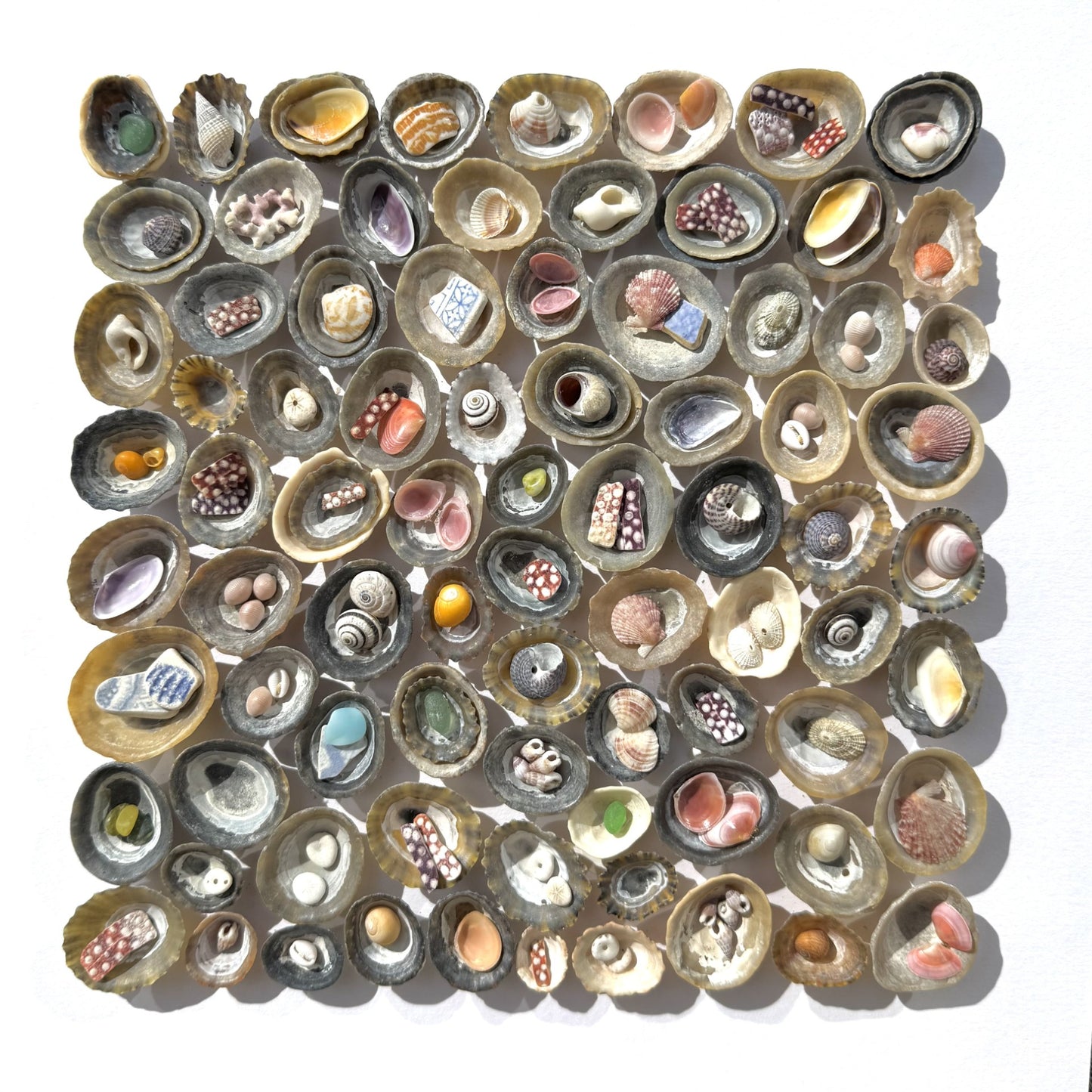 Shadow Box (Medium) - Layered Limpets (Square)