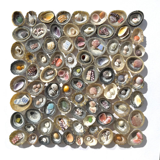 Shadow Box (Medium) - Layered Limpets (Square)