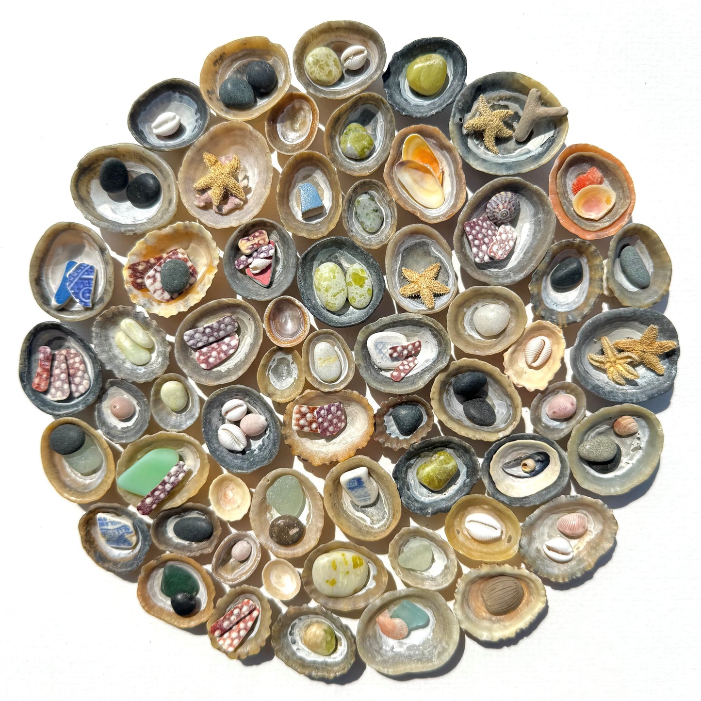 Shadow Box (Medium) - Limpets and Marble Pebbles