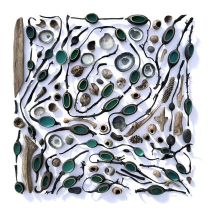 Shadow Box (Large) - Seaweed Vessels and Maerl