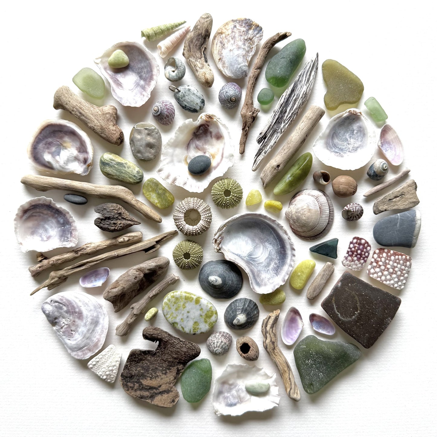 Shadow Box (Medium) - Urchins, Iona Marble and Oysters