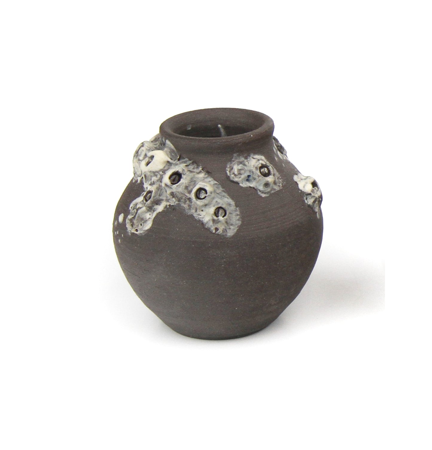 Langamull Baby Barnacle Vase