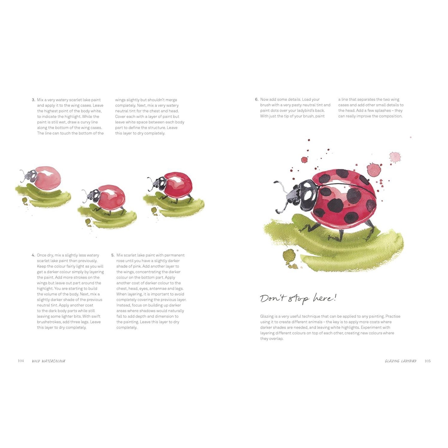 Wild Watercolour Book