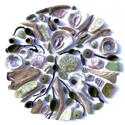 Shadow Box (Medium) - Iona Marble, Seaweed Vessels, Sea Glass and Sea Urchins