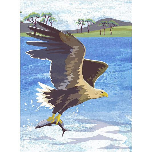 Eagle Notebook - Jane Smith