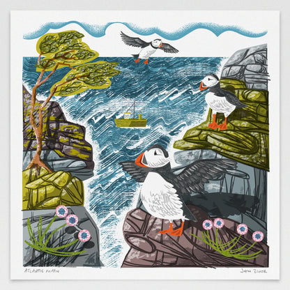 Atlantic Puffin - Digital Print