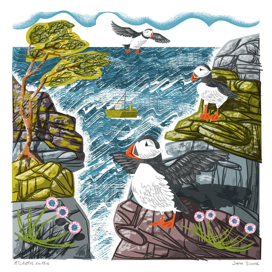 Atlantic Puffin - Digital Print