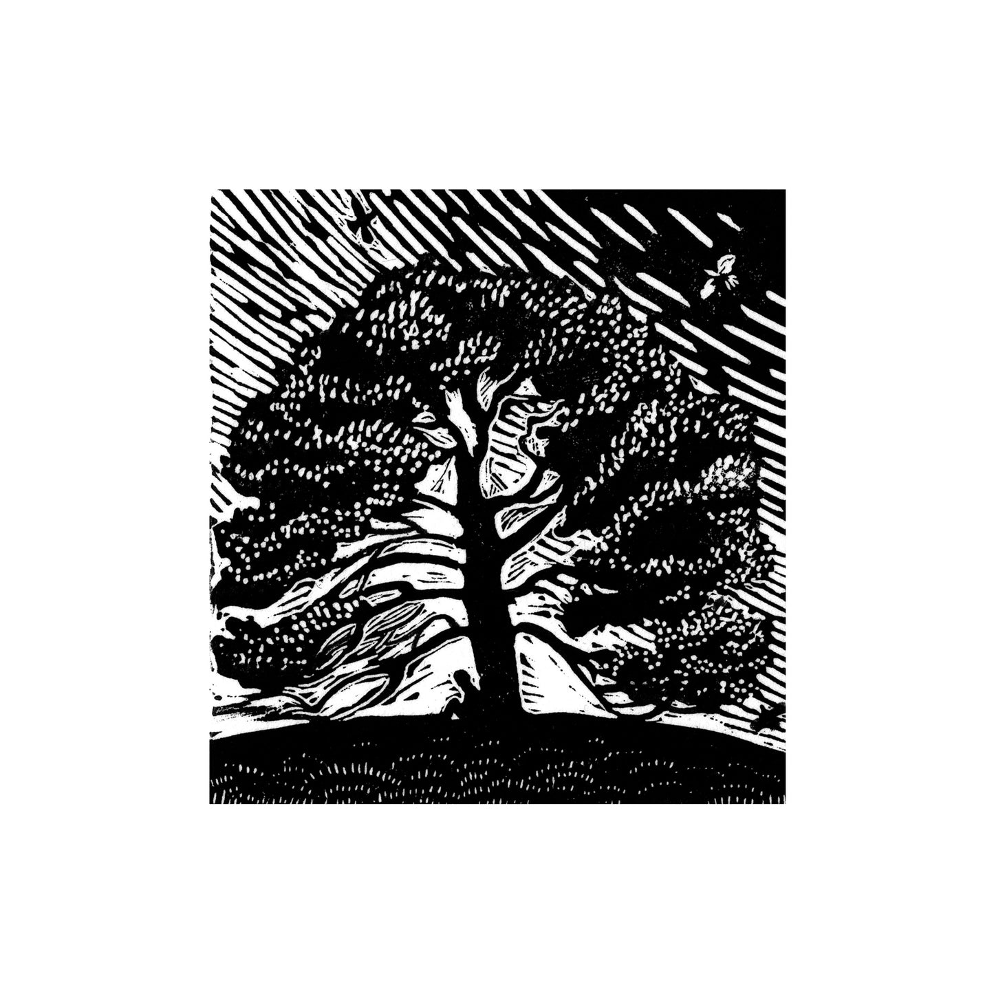 Granny Pine and Curlews