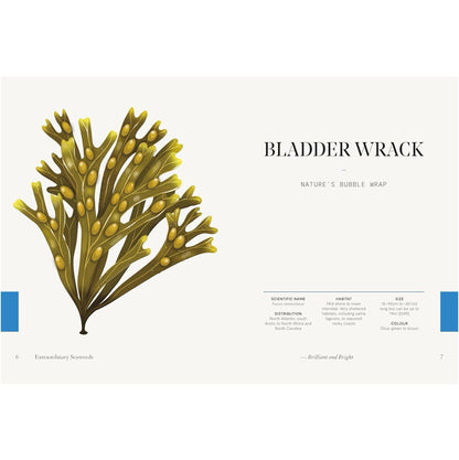 Extraordinary Seaweeds - Book