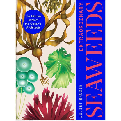 Extraordinary Seaweeds - Book