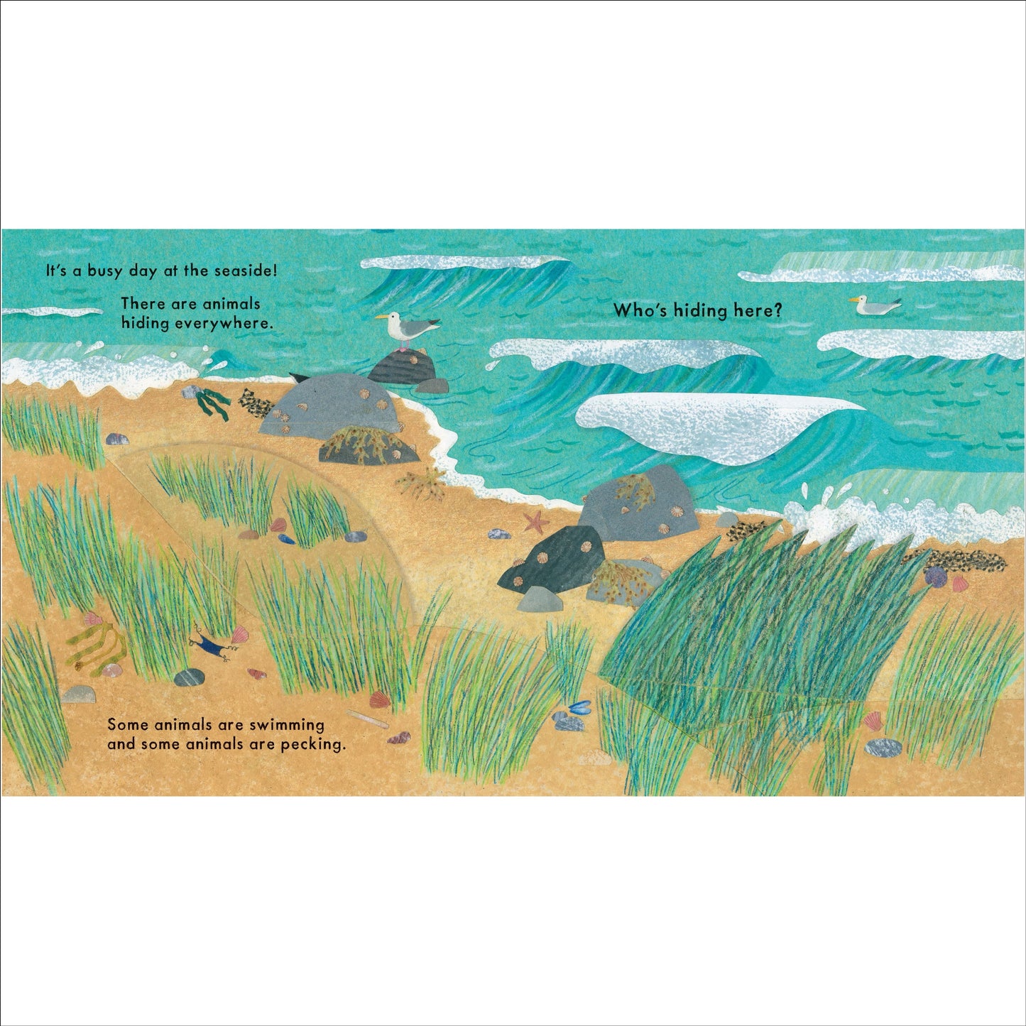 Who's Hiding at the Seaside Book