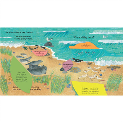 Who's Hiding at the Seaside Book