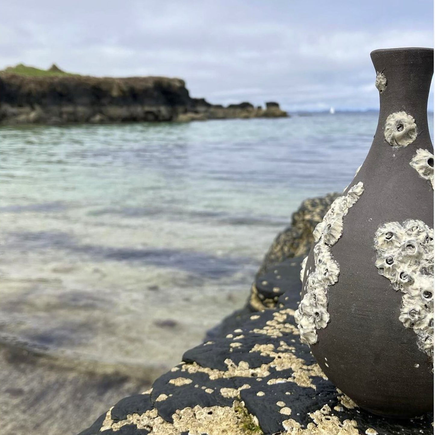 Langamull Barnacle Bottle Vase