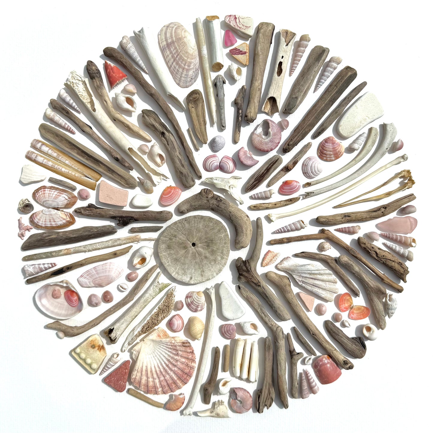 Shadow Box (Large) - Balnahard Bones and Baltic Tellins