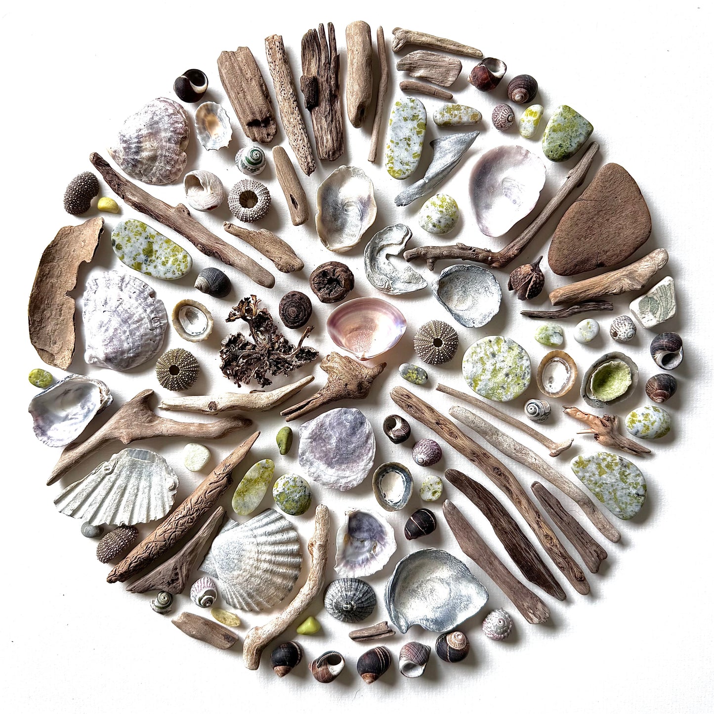Shadow Box (Large) - Sea Urchins, Iona Marble and Driftwood