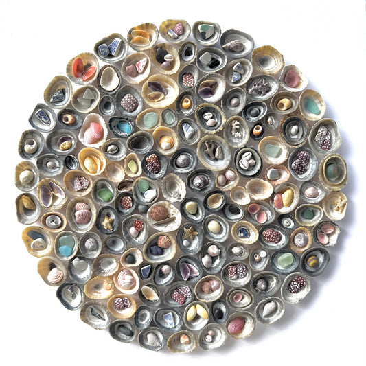 Shadow Box (Large) - Limpet Mosaic