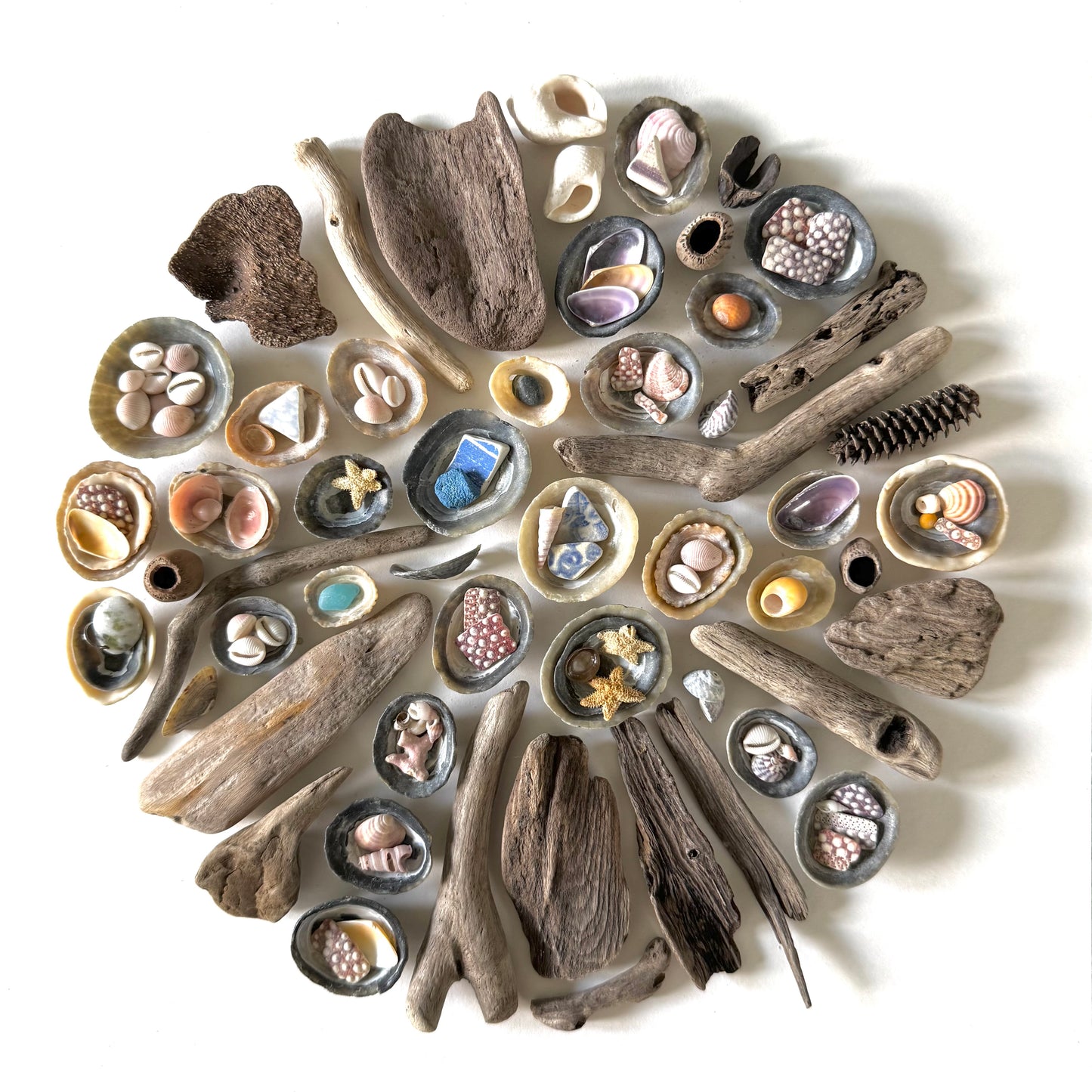Shadow Box (Medium) - Layered Limpets