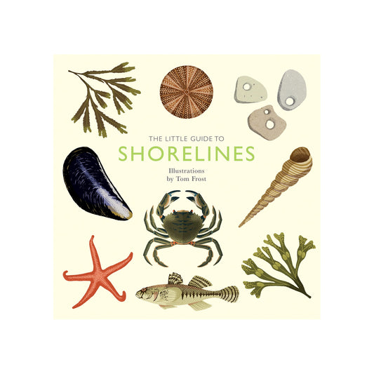 The Little Guide to Shorelines - Book