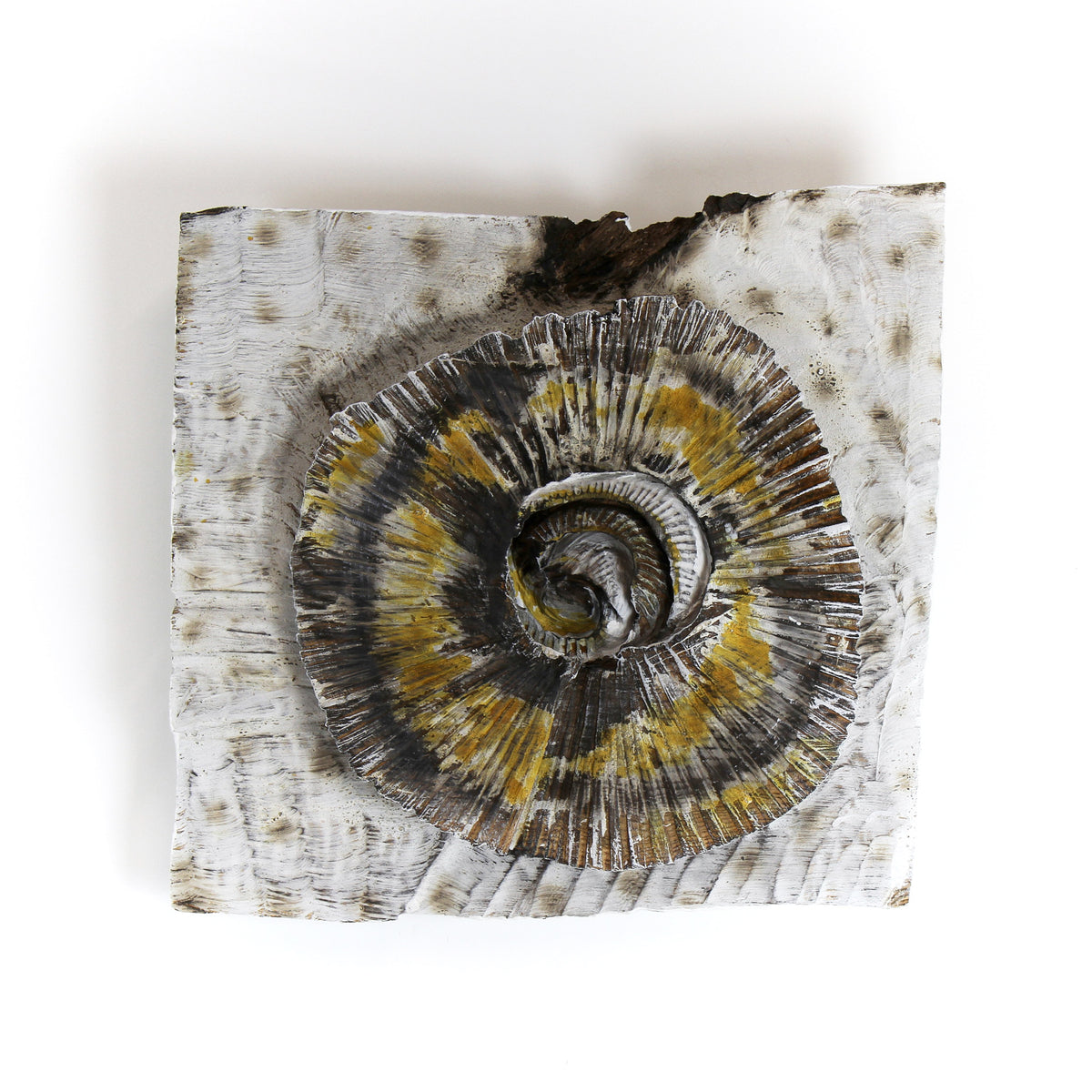 Lichen 2