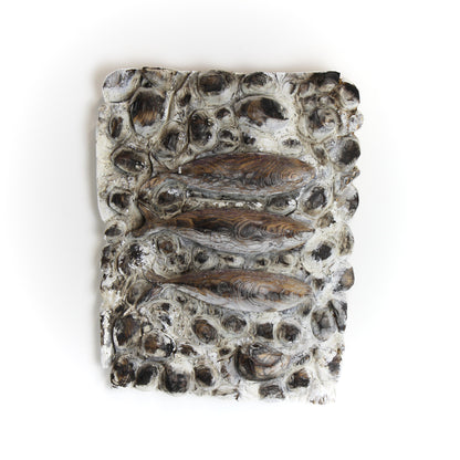 Mackerel Supper