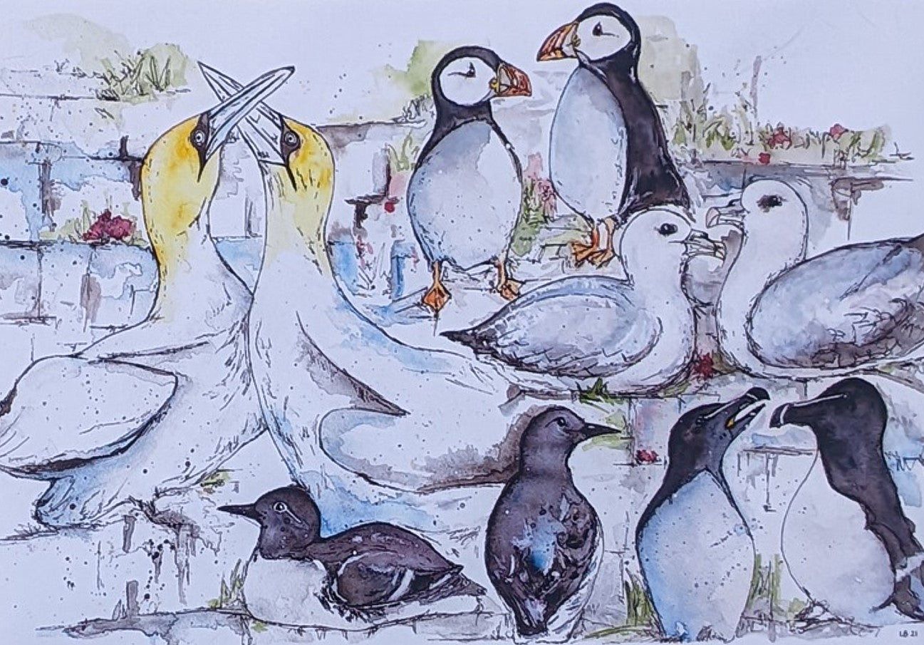 Seabird Colony - Print