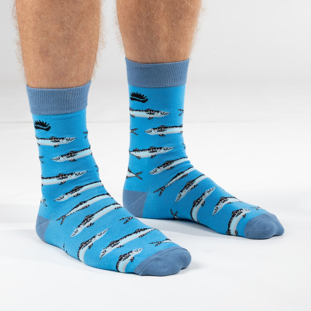 Bamboo Socks (Hedgy) Calgary Art Gallery