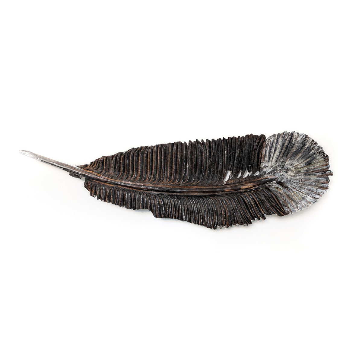 Eider Feather