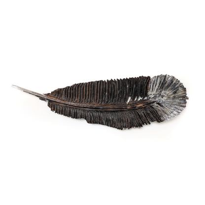 Eider Feather