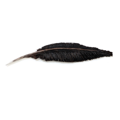 Goose Feather