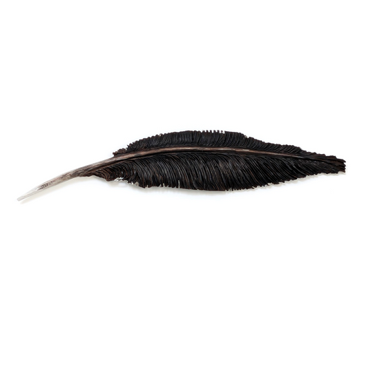 Goose Feather