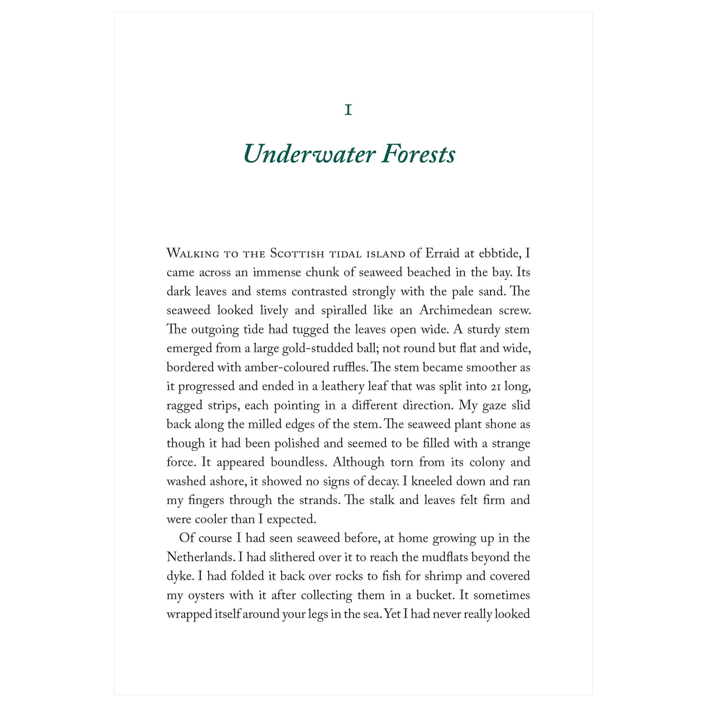 Unmasking The Secret Life Of Seaweed Collectors - 8xx4tqp