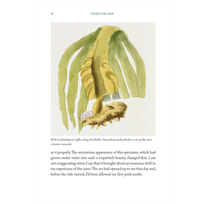 Seaweed Collectors Handbook - Book