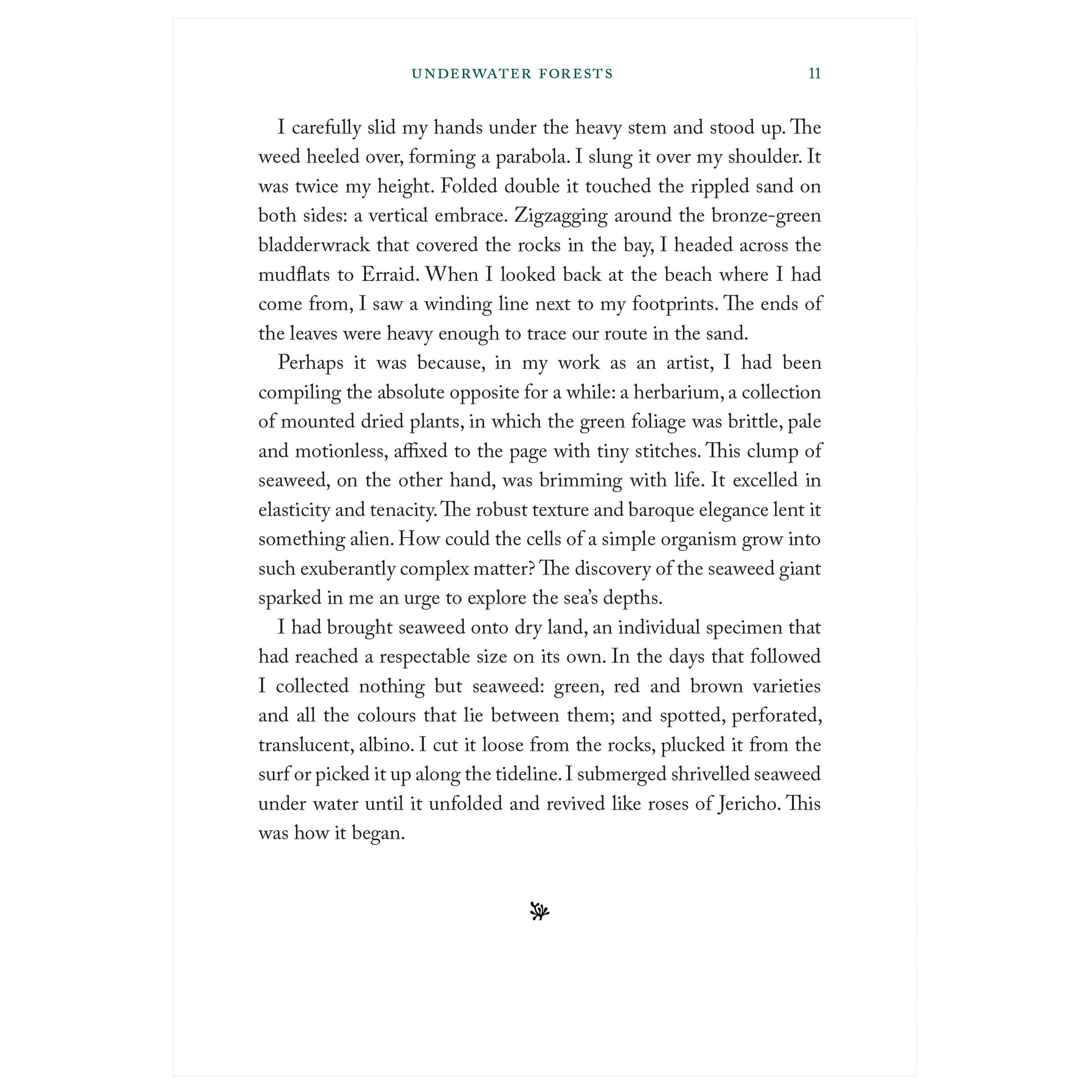 Unmasking The Secret Life Of Seaweed Collectors - icwjm7a