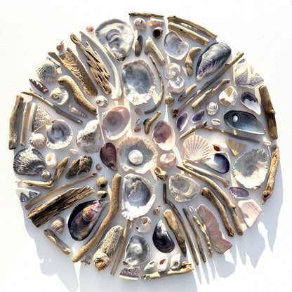 Shadow Box (Large) - Mussels and Oysters