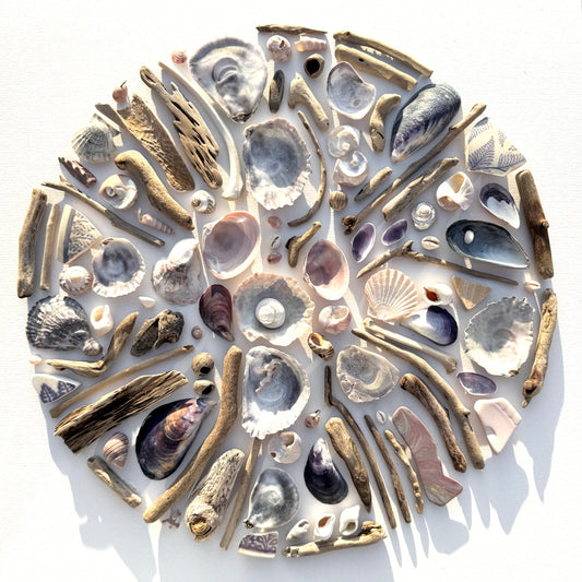Shadow Box (Large) - Mussels and Oysters