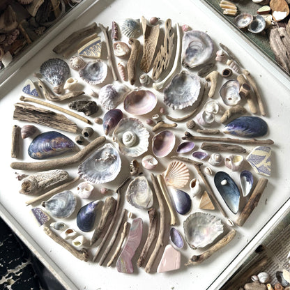 Shadow Box (Large) - Mussels and Oysters