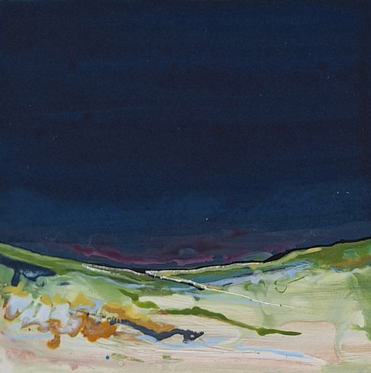 Winter Above Calgary Bay